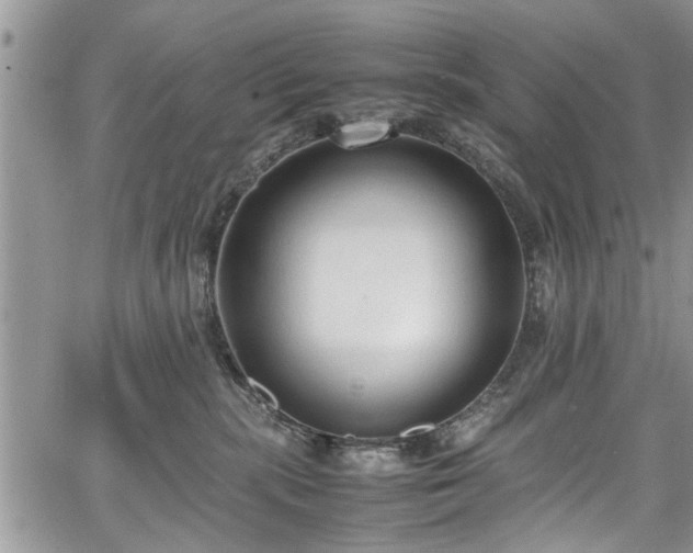 X0000067950283200604171443