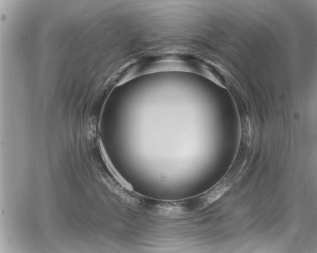 X0000067950284200604171443