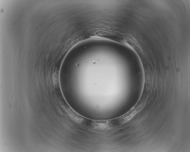 X0000067950285200604171443