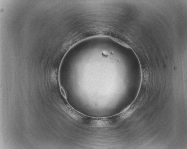 X0000067950286200604171443