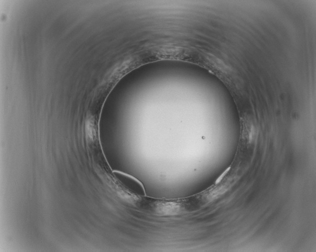 X0000067950287200604171443