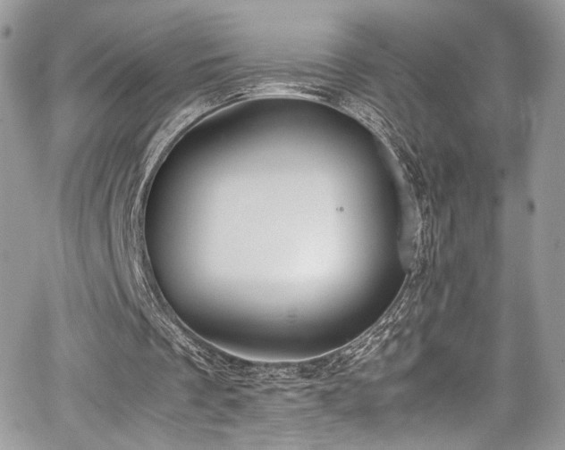 X0000067950289200604171442