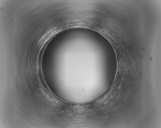 X0000067950290200604171442