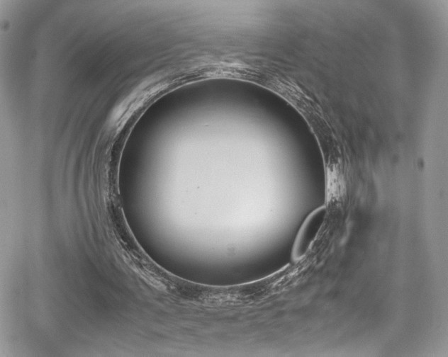 X0000067950291200604171442