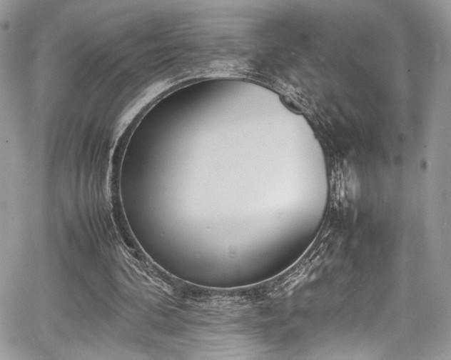 X0000067950292200604171442