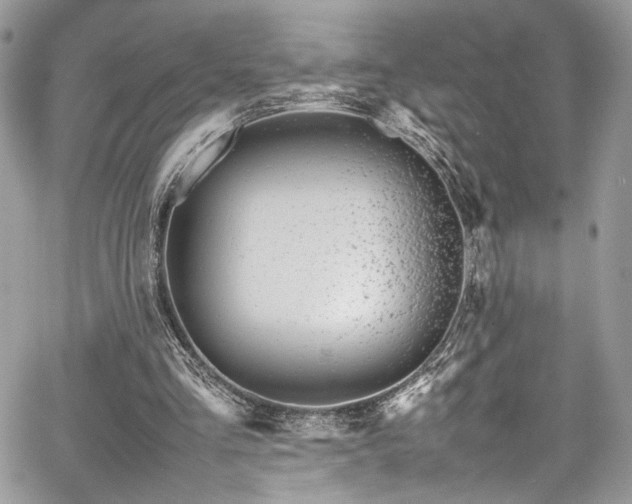 X0000067950293200604171442