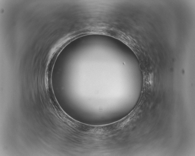 X0000067950294200604171442