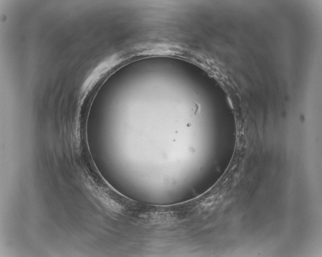 X0000067950296200604171442