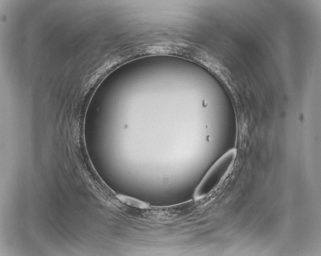 X0000067950297200604171442