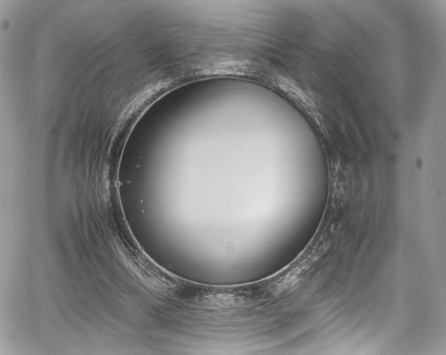 X0000067950298200604171442