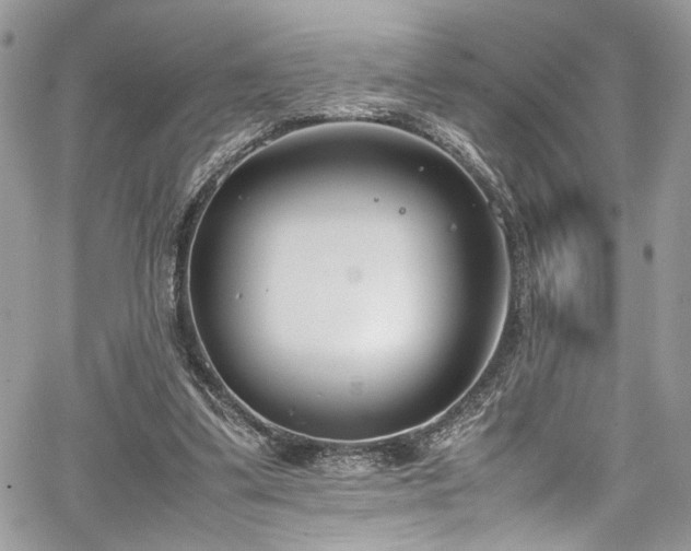 X0000067950299200604171442