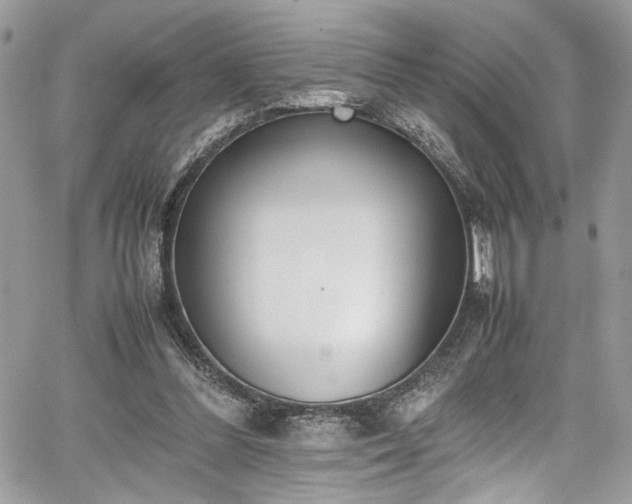 X0000067950300200604171442