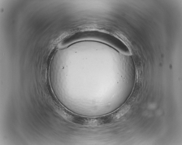 X0000067950301200604171442