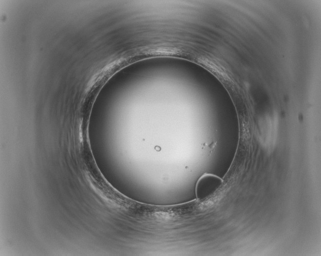 X0000067950302200604171442