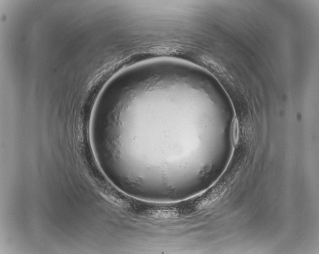 X0000067950303200604171442