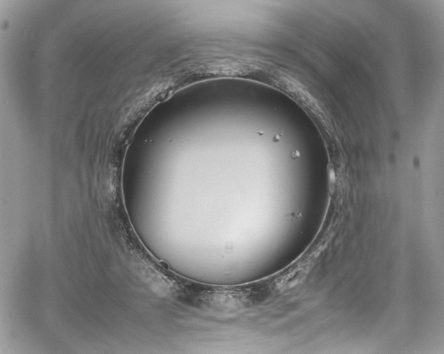 X0000067950305200604171442