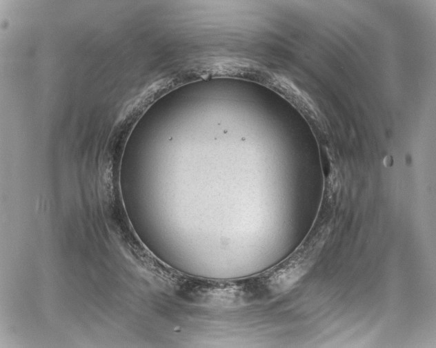 X0000067950306200604171442