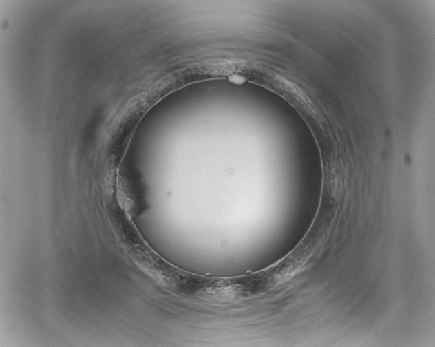 X0000067950307200604171442