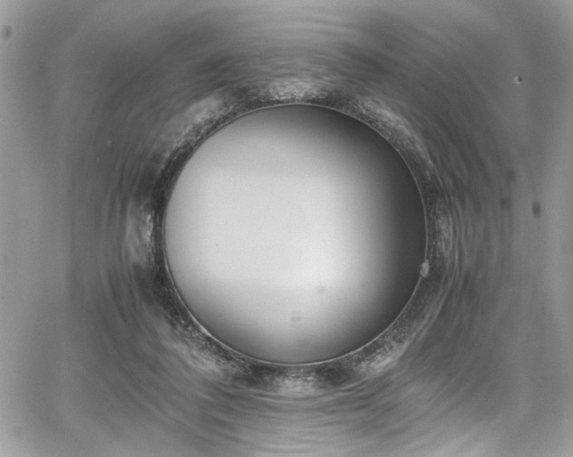 X0000067950308200604171442