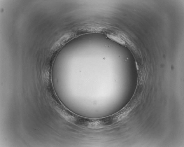 X0000067950309200604171442