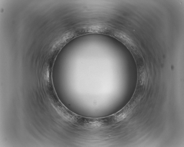 X0000067950310200604171442