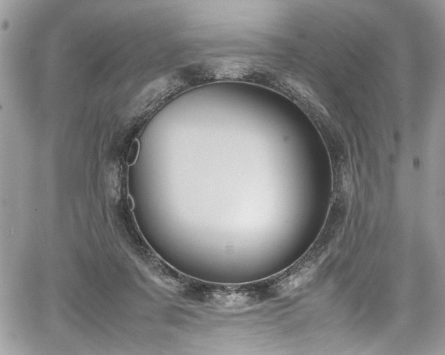 X0000067950311200604171442