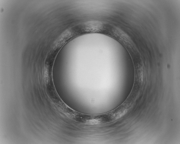 X0000067950312200604171442