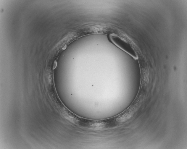 X0000067950313200604171442