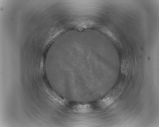 X0000067950314200604171442