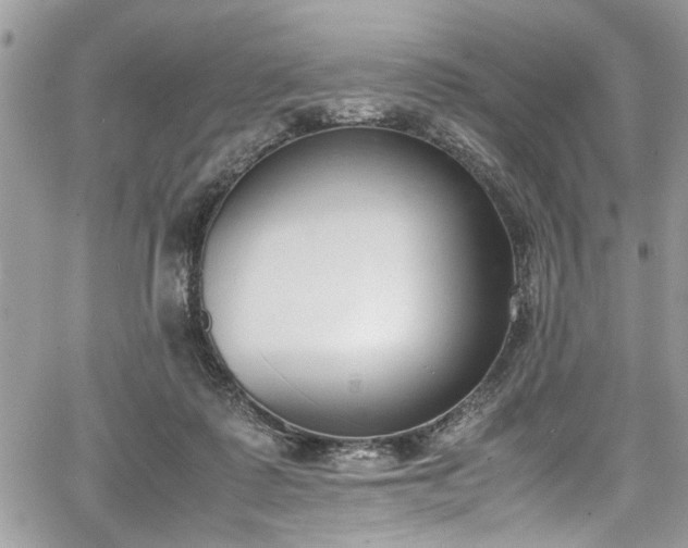 X0000067950315200604171442