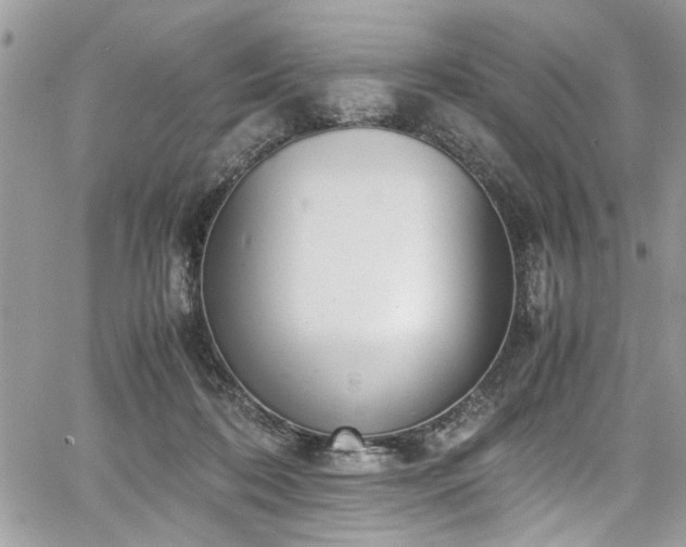 X0000067950316200604171442