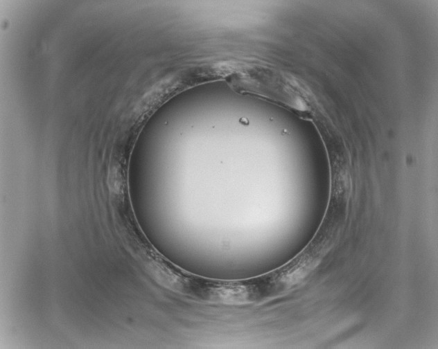 X0000067950317200604171442