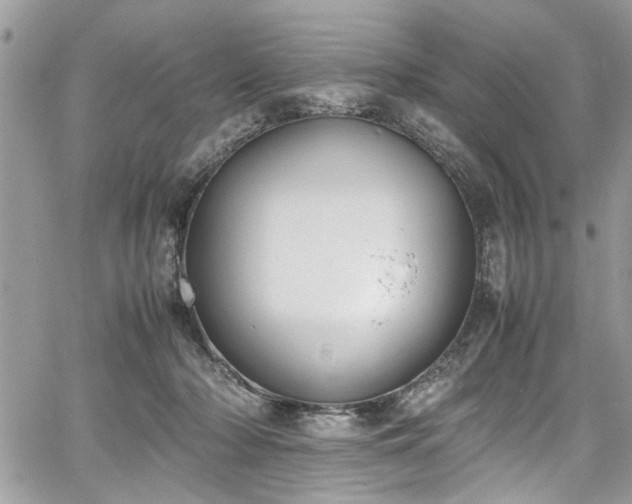 X0000067950318200604171442