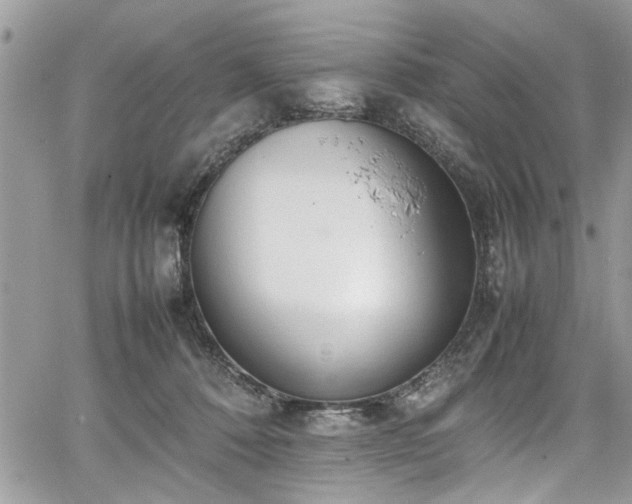 X0000067950320200604171442