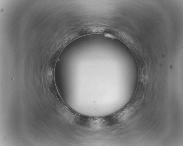 X0000067950321200604171442