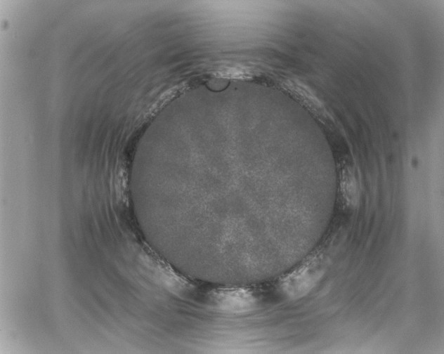 X0000067950322200604171442