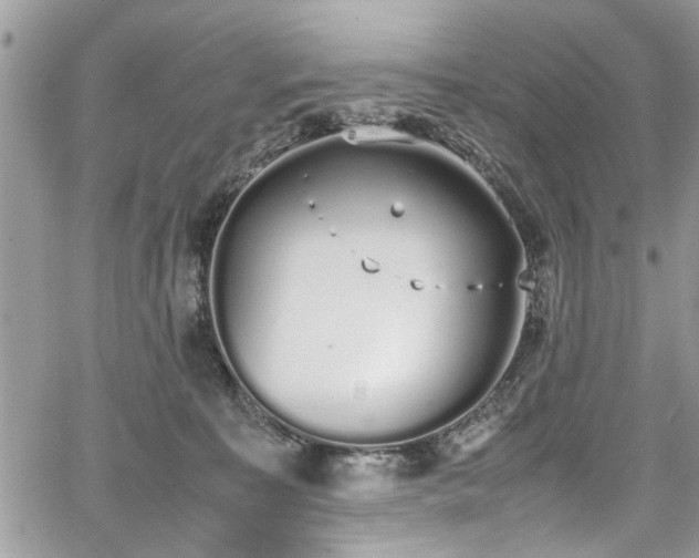 X0000067950323200604171442