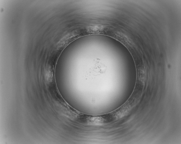 X0000067950324200604171442