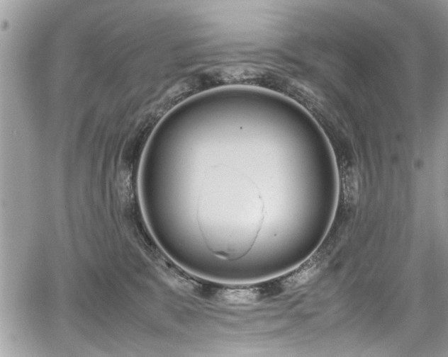 X0000067950327200604171442