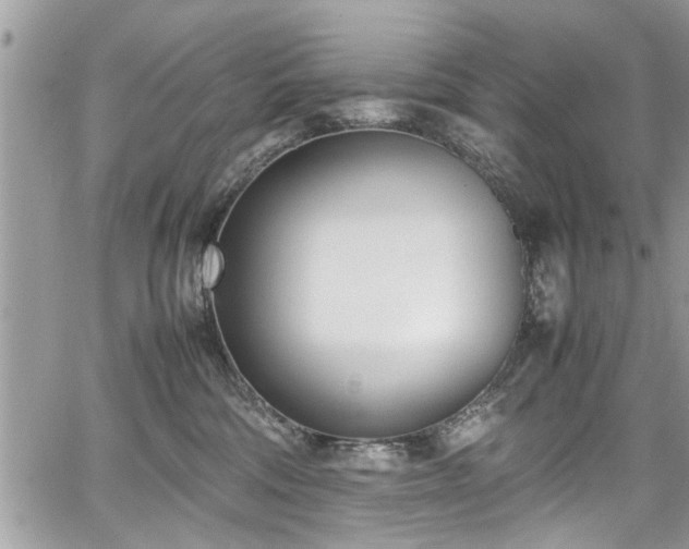 X0000067950330200604171442