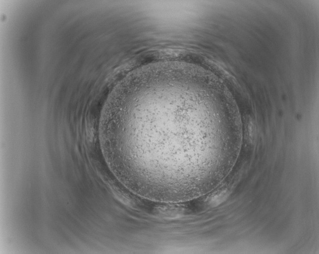 X0000067950331200604171442