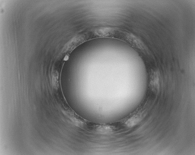 X0000067950332200604171442