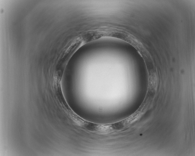 X0000067950333200604171442