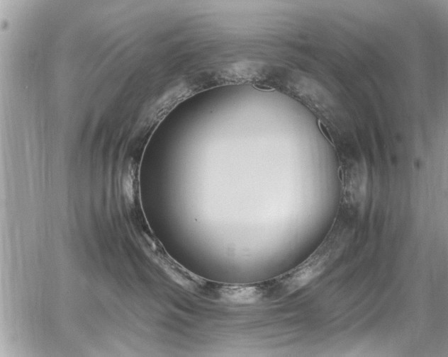 X0000067950334200604171442