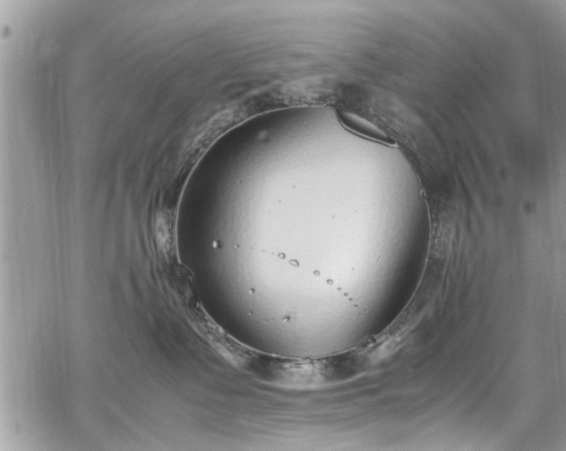 X0000067950335200604171442