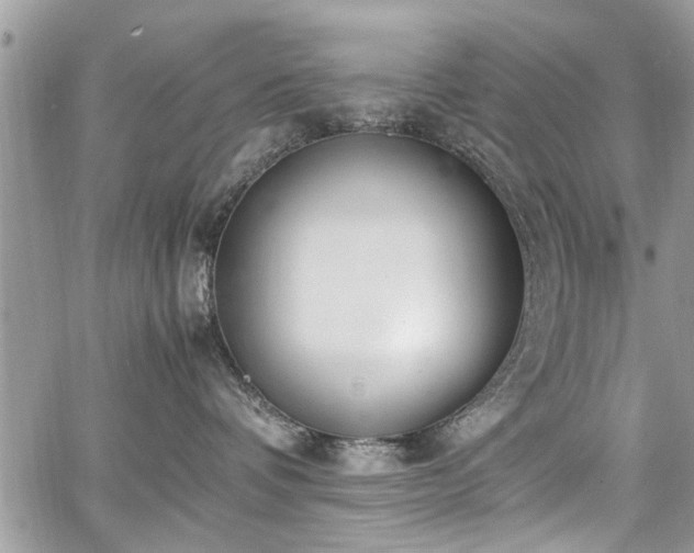 X0000067950336200604171441