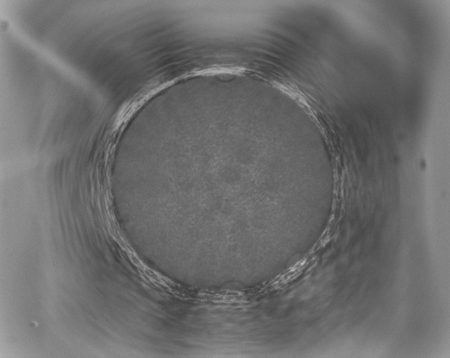 X0000067950337200604171441