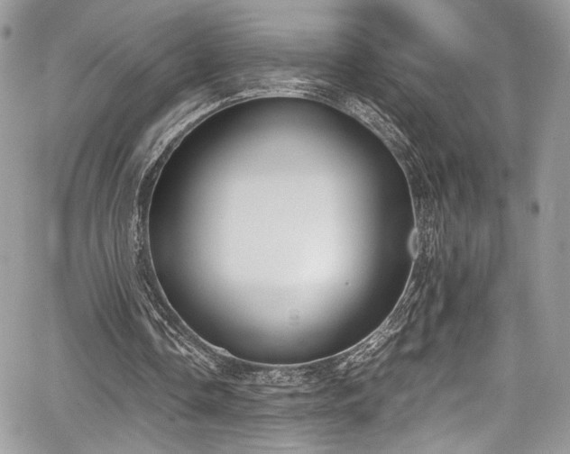 X0000067950338200604171441