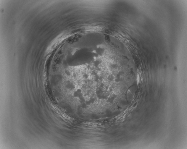 X0000067950339200604171441