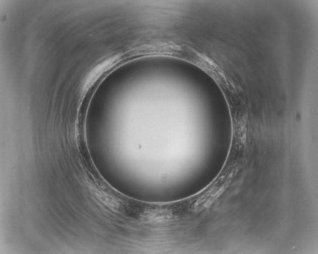 X0000067950340200604171441